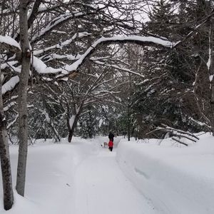 Meet your Posher, Maggie